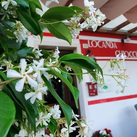 Chiocciola بيت ضيافة *